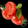Tomato Decoration